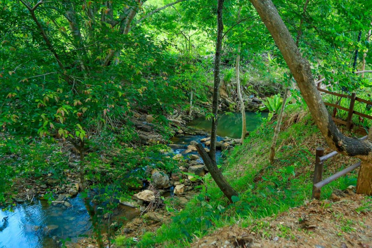 Doola River Edge Udawalawe Buitenkant foto
