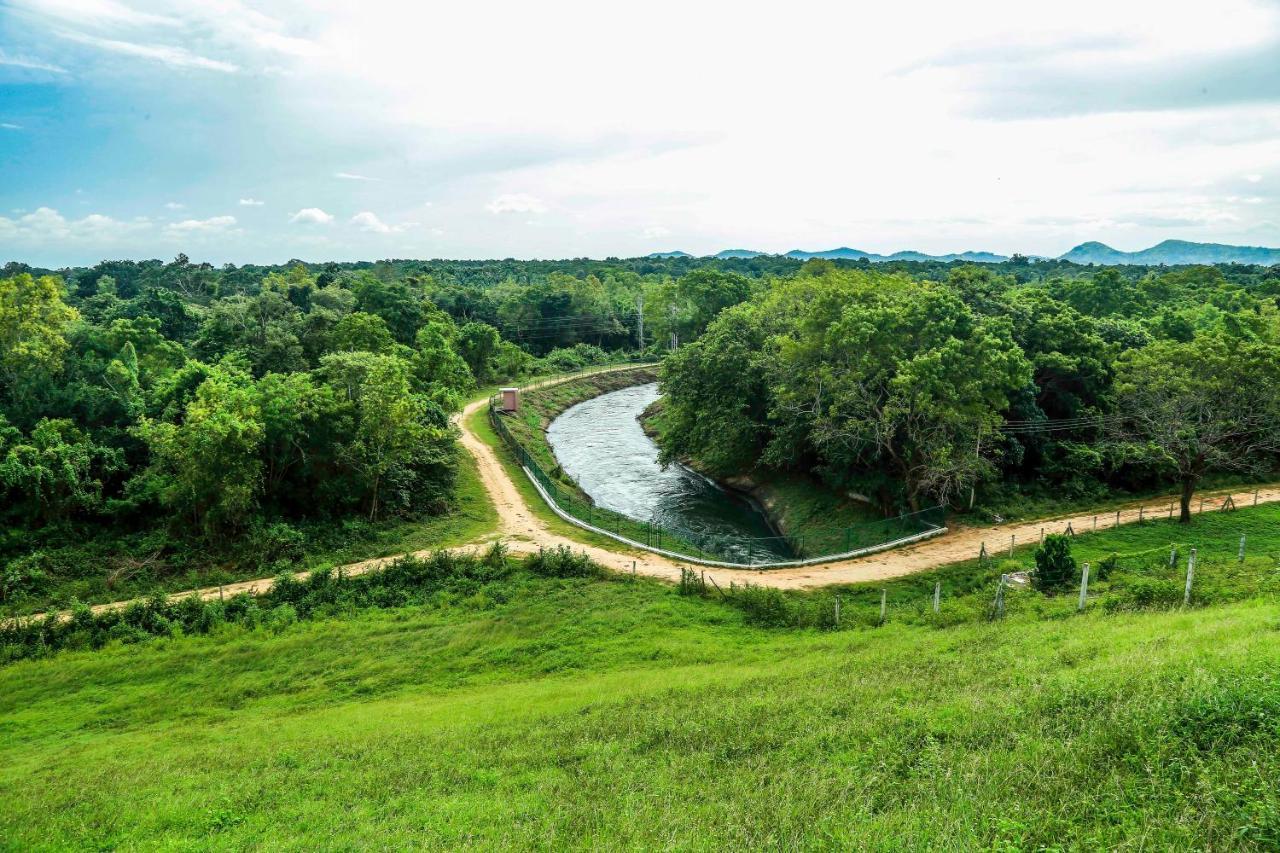 Doola River Edge Udawalawe Buitenkant foto