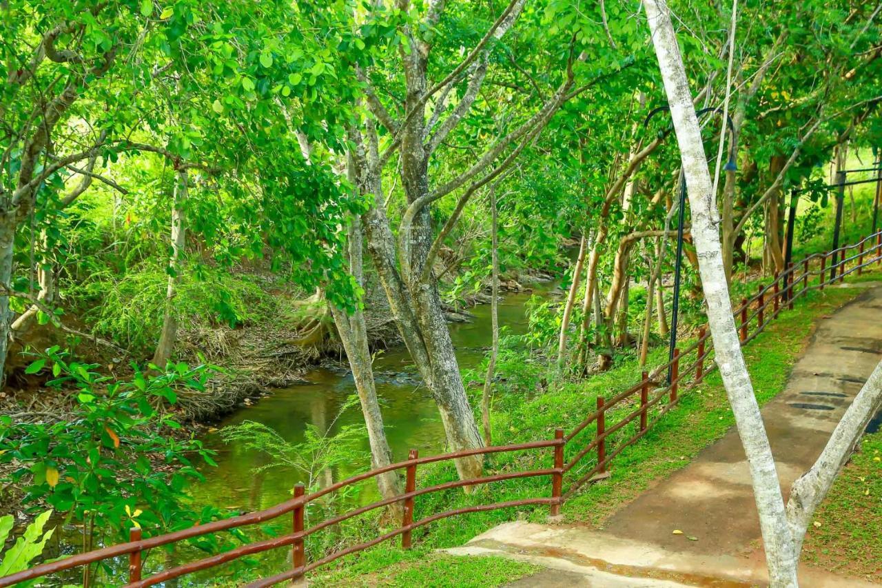 Doola River Edge Udawalawe Buitenkant foto