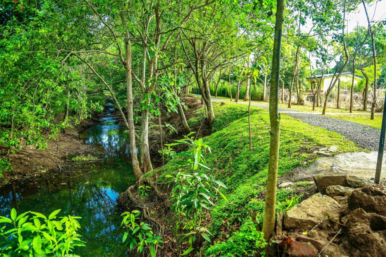 Doola River Edge Udawalawe Buitenkant foto